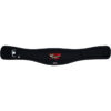 Weight Lifting Belt 6 Inches Gym Back Support Power Training Lower Lumber Pain Athletics Gear AG