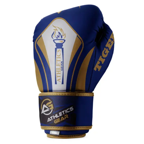 Haul Up Your Performance With Premium Multi Colour Boxing Gloves Top 10 Model Athletics Gear AG