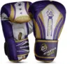 Haul Up Your Performance With Premium Multi Colour Boxing Gloves Top 10 Model Athletics Gear AG