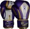 Haul Up Your Performance With Premium Multi Colour Boxing Gloves Top 10 Model Athletics Gear AG
