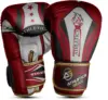 Haul Up Your Performance With Premium Multi Colour Boxing Gloves Top 10 Model Athletics Gear AG