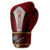 Haul Up Your Performance With Premium Multi Colour Boxing Gloves Top 10 Model Athletics Gear AG